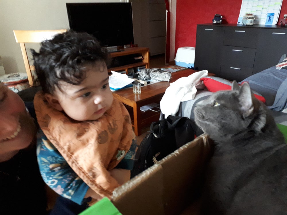 Adao rencontre pour la première fois un chat